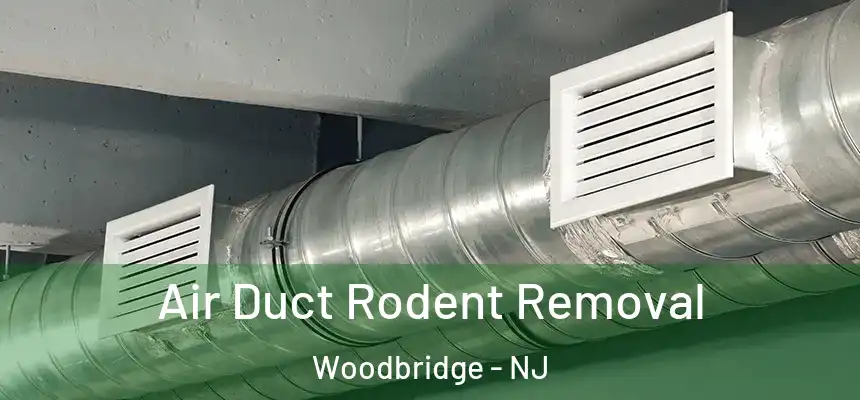 Air Duct Rodent Removal Woodbridge - NJ