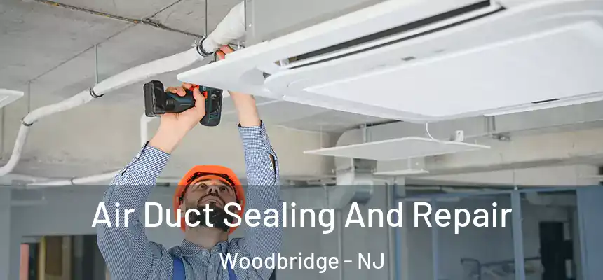  Air Duct Sealing And Repair Woodbridge - NJ