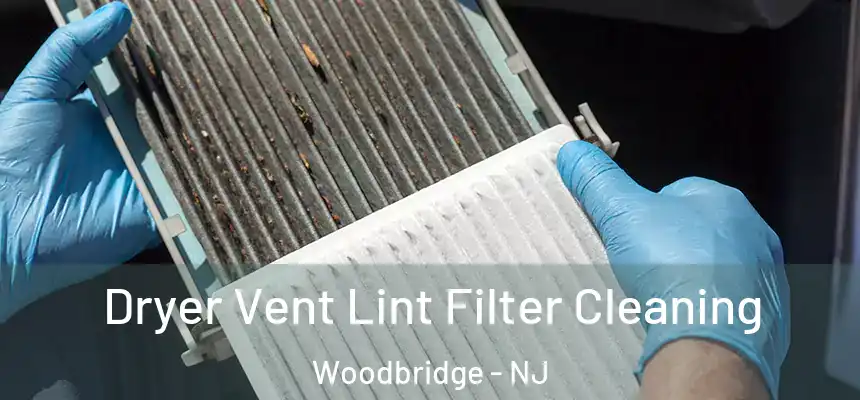 Dryer Vent Lint Filter Cleaning Woodbridge - NJ
