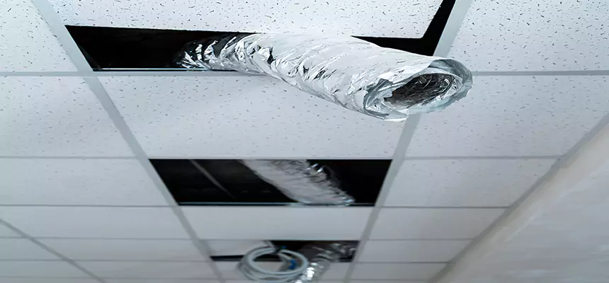 Affordable HVAC Sanitizing After Pest Removal in Woodbridge