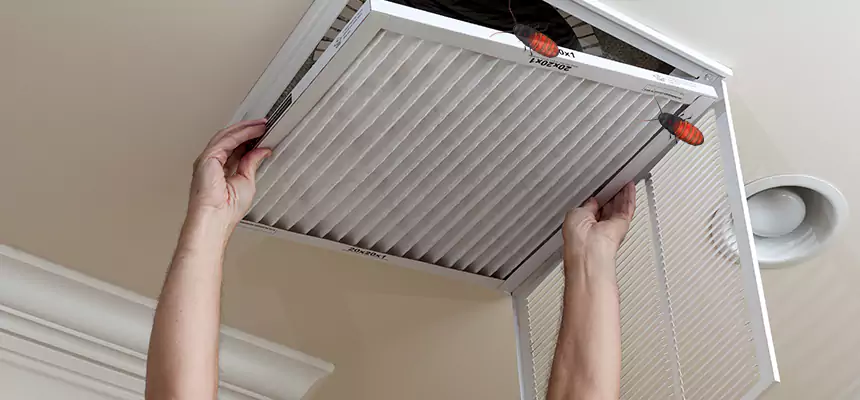 Our Insect Removal from Air Ducts Services in Woodbridge, NJ