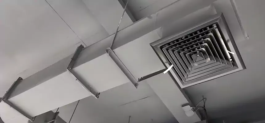 Our Pest Removal From Ducts Services in Woodbridge, NJ