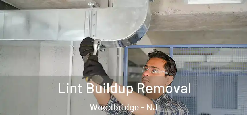 Lint Buildup Removal Woodbridge - NJ