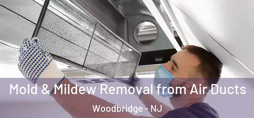  Mold & Mildew Removal from Air Ducts Woodbridge - NJ