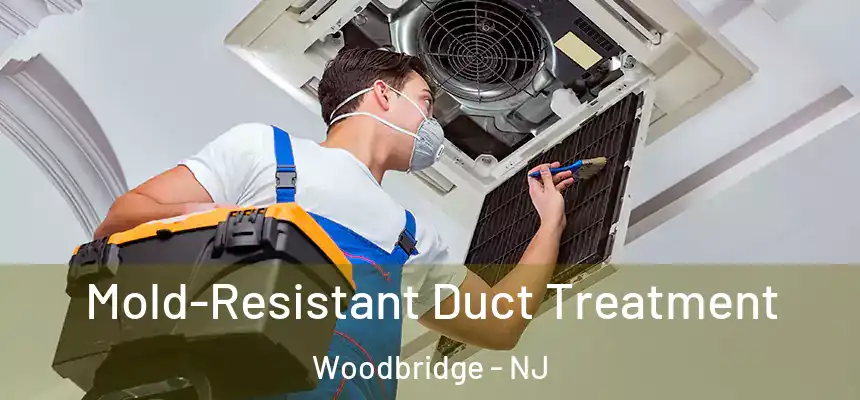  Mold-Resistant Duct Treatment Woodbridge - NJ