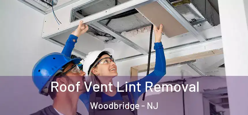 Roof Vent Lint Removal Woodbridge - NJ