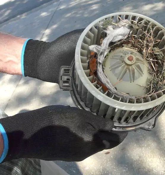 About Air Duct Rat Removal in Woodbridge, NJ