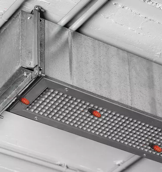 Affordable Insect Removal from Air Ducts in Woodbridge, NJ