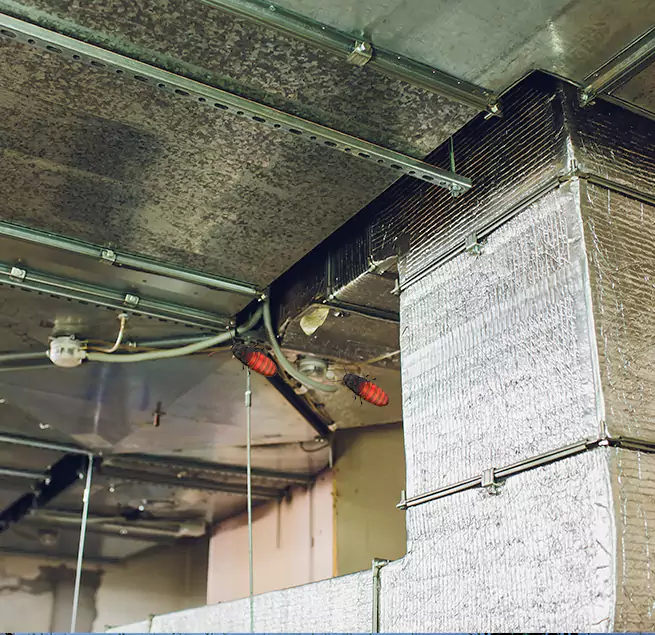 Why Homeowners & Businesses Trust Us in Woodbridge, NJ?