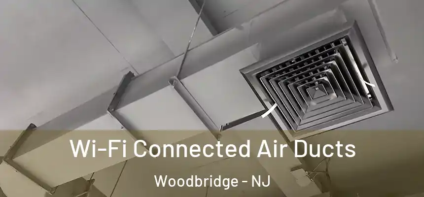  Wi-Fi Connected Air Ducts Woodbridge - NJ